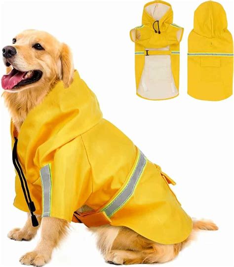 De beste regenjas voor je hond in 2024.